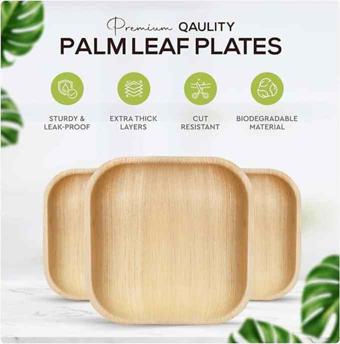 Palm Leaf Plates