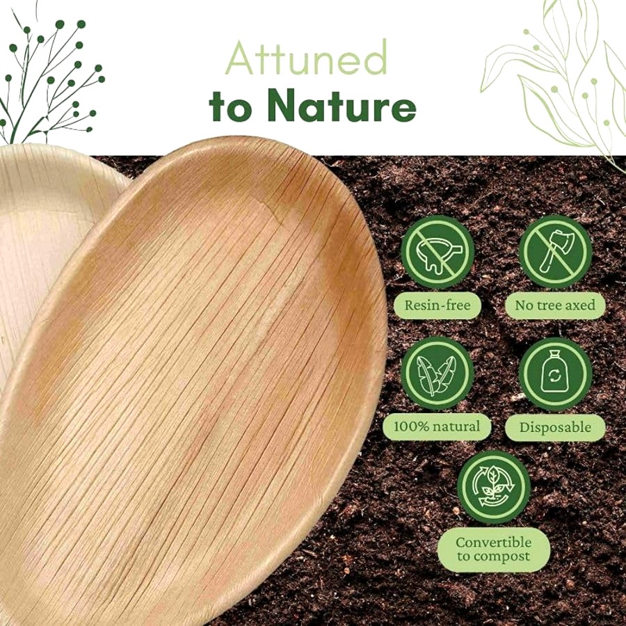 Large Oval Disposable 10" (25cm) Bamboo Palm Leaf Plates - Eco Leaf Products