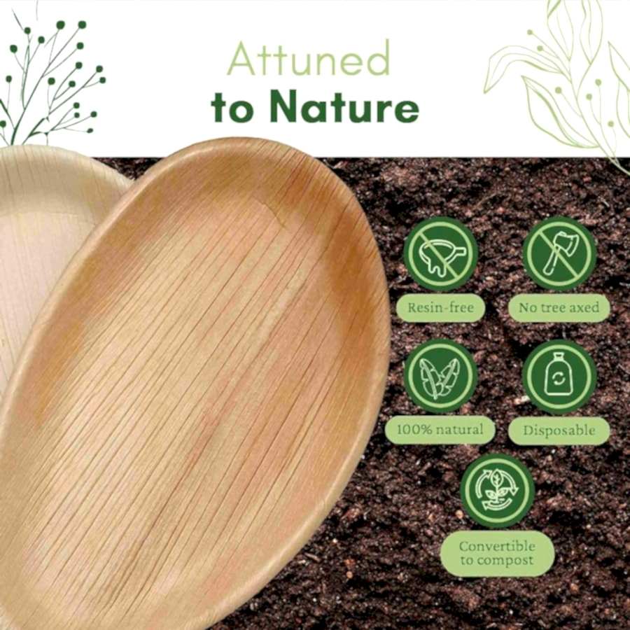 Large Oval Disposable 10" (25cm) Bamboo Palm Leaf Plates - Eco Leaf Products