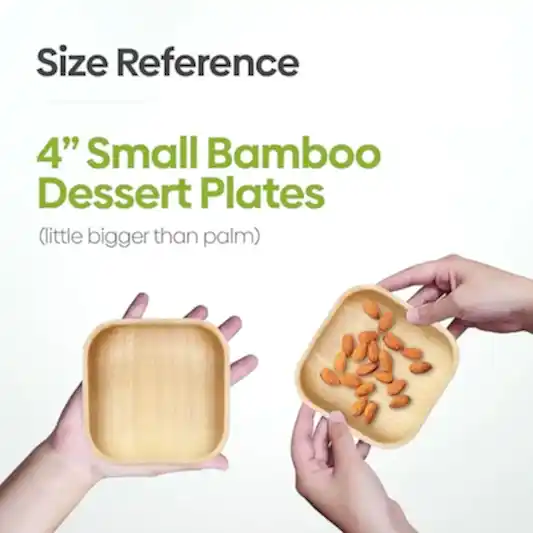 Small 4" (10cm) Square Compostable Bamboo Plates - Eco Leaf Products