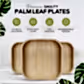 Small 4" (10cm) Square Compostable Bamboo Plates - Eco Leaf Products