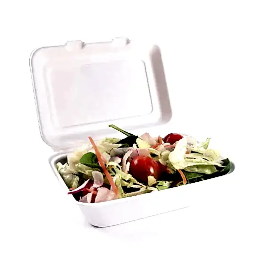 White Clamshell 7" x 5" Disposable Takeaway Box - Eco Leaf Products