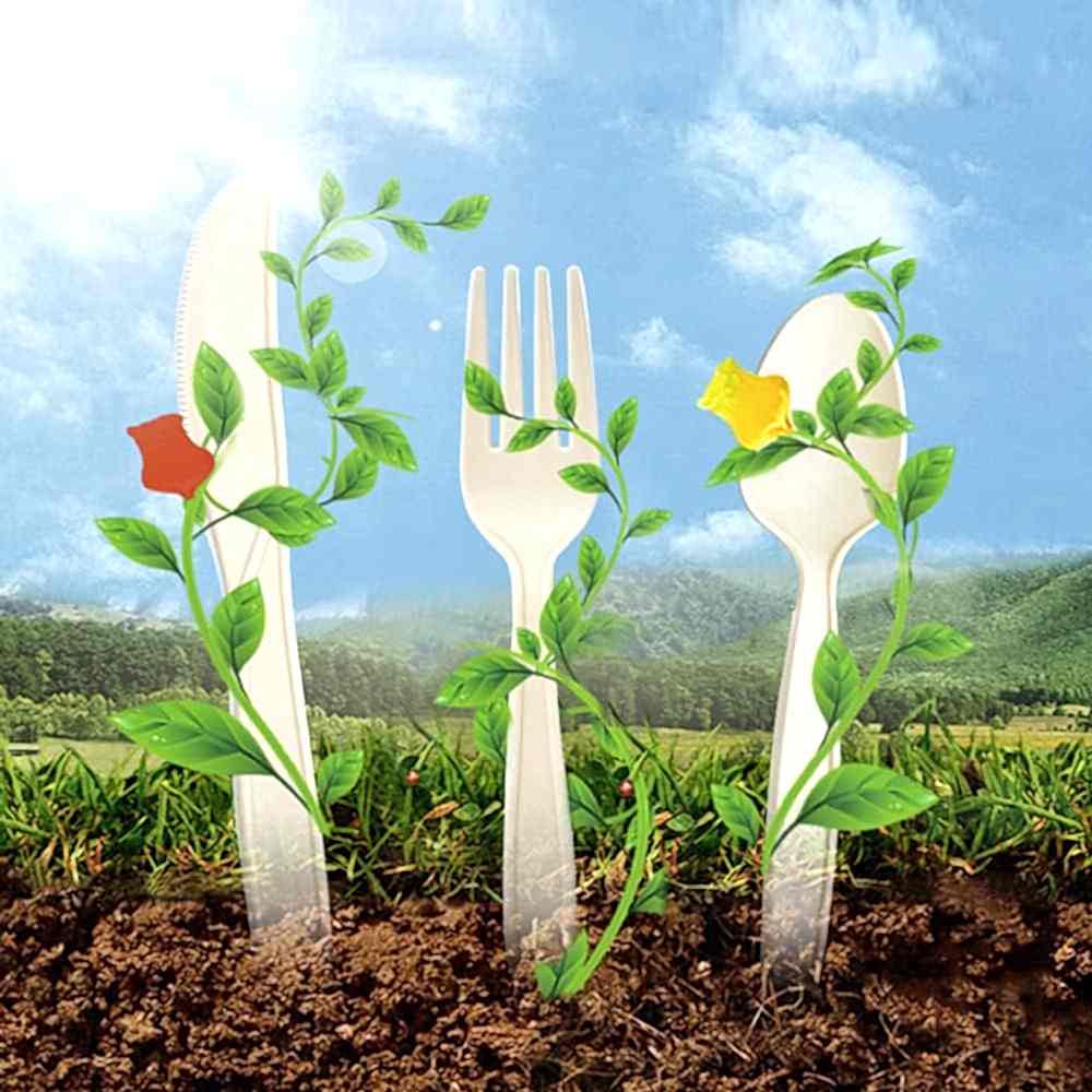 Premium Cornstarch Spoons - Eco Leaf Products