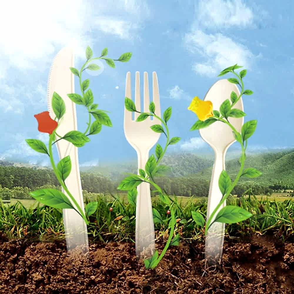 Premium Cornstarch Spoons - Eco Leaf Products