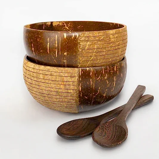 Jumbo Patterned Coconut Bowls & Spoons - Reusable - Eco Leaf Products