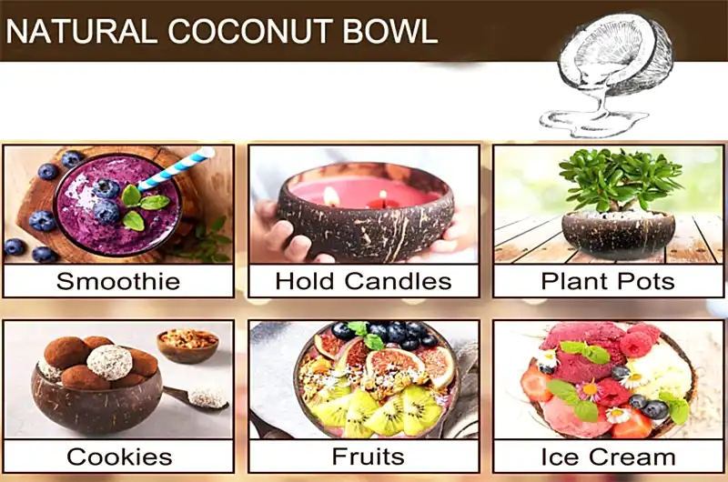 Hand-Polished Smooth Coconut Shell 400ml - Eco Leaf Products