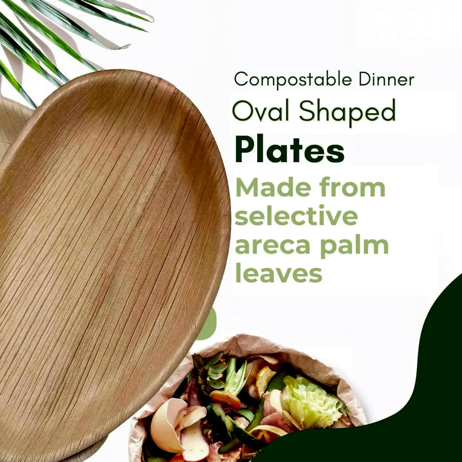 Large Oval Disposable 10" (25cm) Bamboo Palm Leaf Plates - Eco Leaf Products