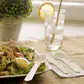 4 in 1 Wooden Disposable Cutlery Pack - Eco Leaf Products