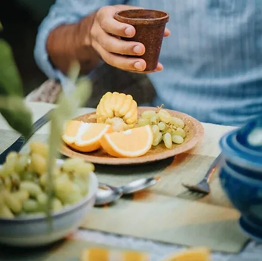 Rice Husk Disposable Plates - Made From 100% Paddy Residue - Eco Leaf Products