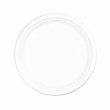 25cm (10") Round Bagasse Disposable Plate - Eco Leaf Products