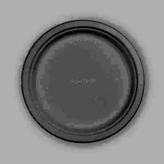 25cm (10") Round Bagasse Disposable Plate - Eco Leaf Products