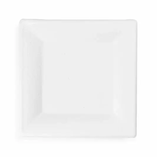 25cm (10") Compostable Square Bagasse Disposable Plate - Eco Leaf Products