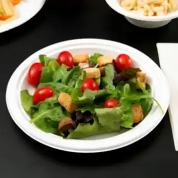 18cm (7") Disposable Strong Round Bagasse Plate - Eco Leaf Products