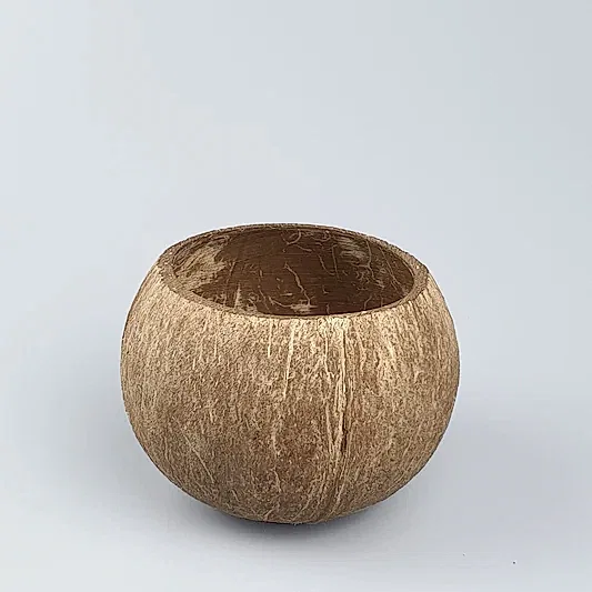 Round Large Semi Polished Coconut Shell - Eco Leaf Products