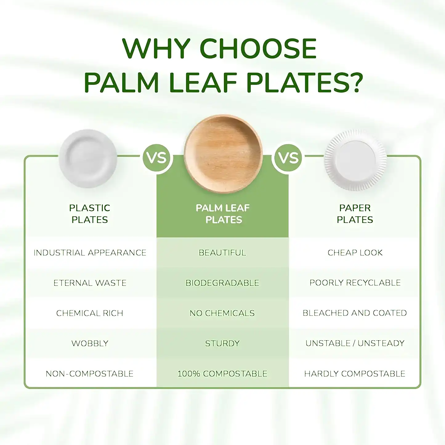 10" (25cm) Round Disposable Plates Palm Leaf Bamboo Plates