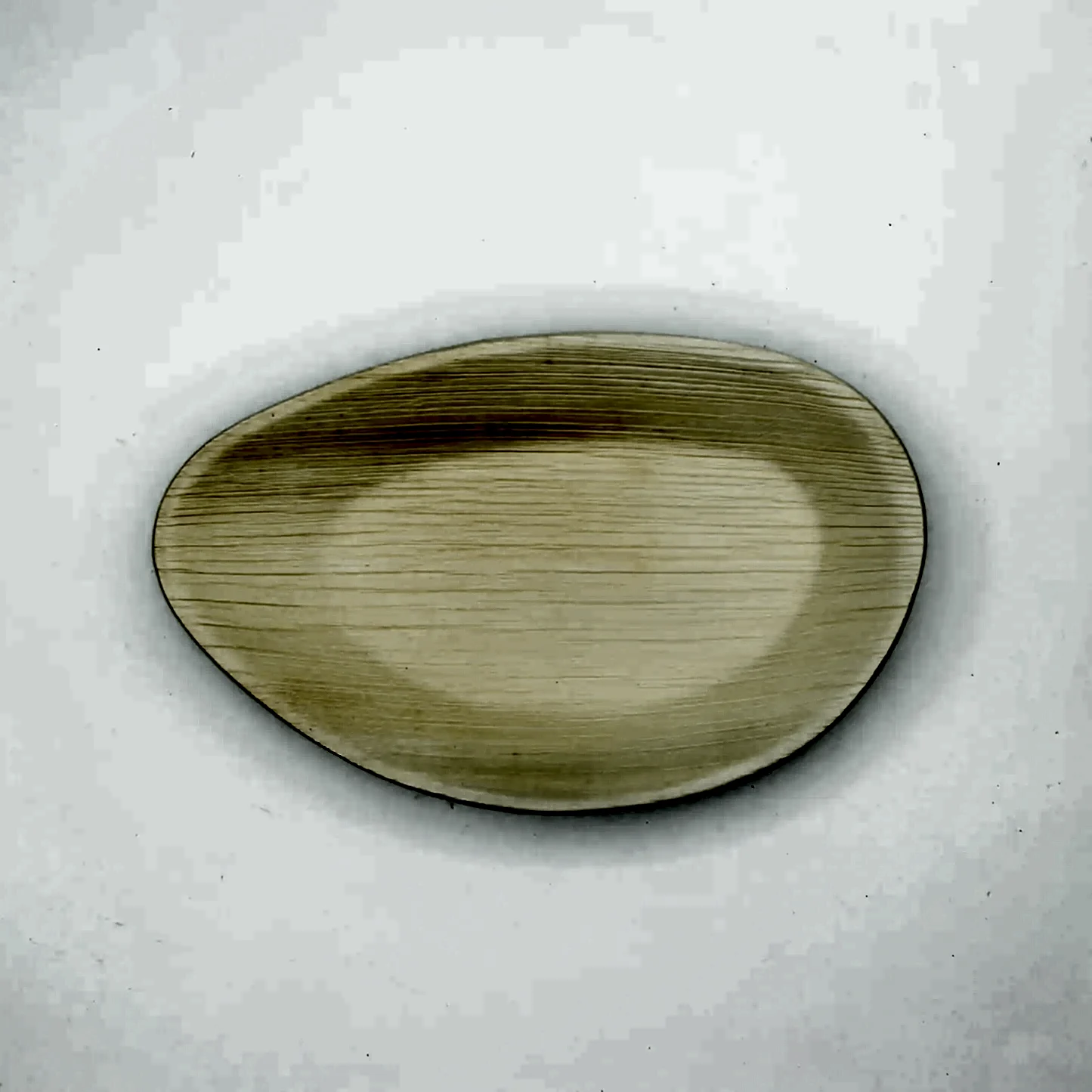 10" x 6.5" - Large Oval Palm Leaf Disposable Plates - Eco Leaf Products