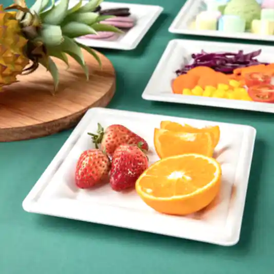 15cm (6") Compostable Square Bagasse Plate - Eco Leaf Products