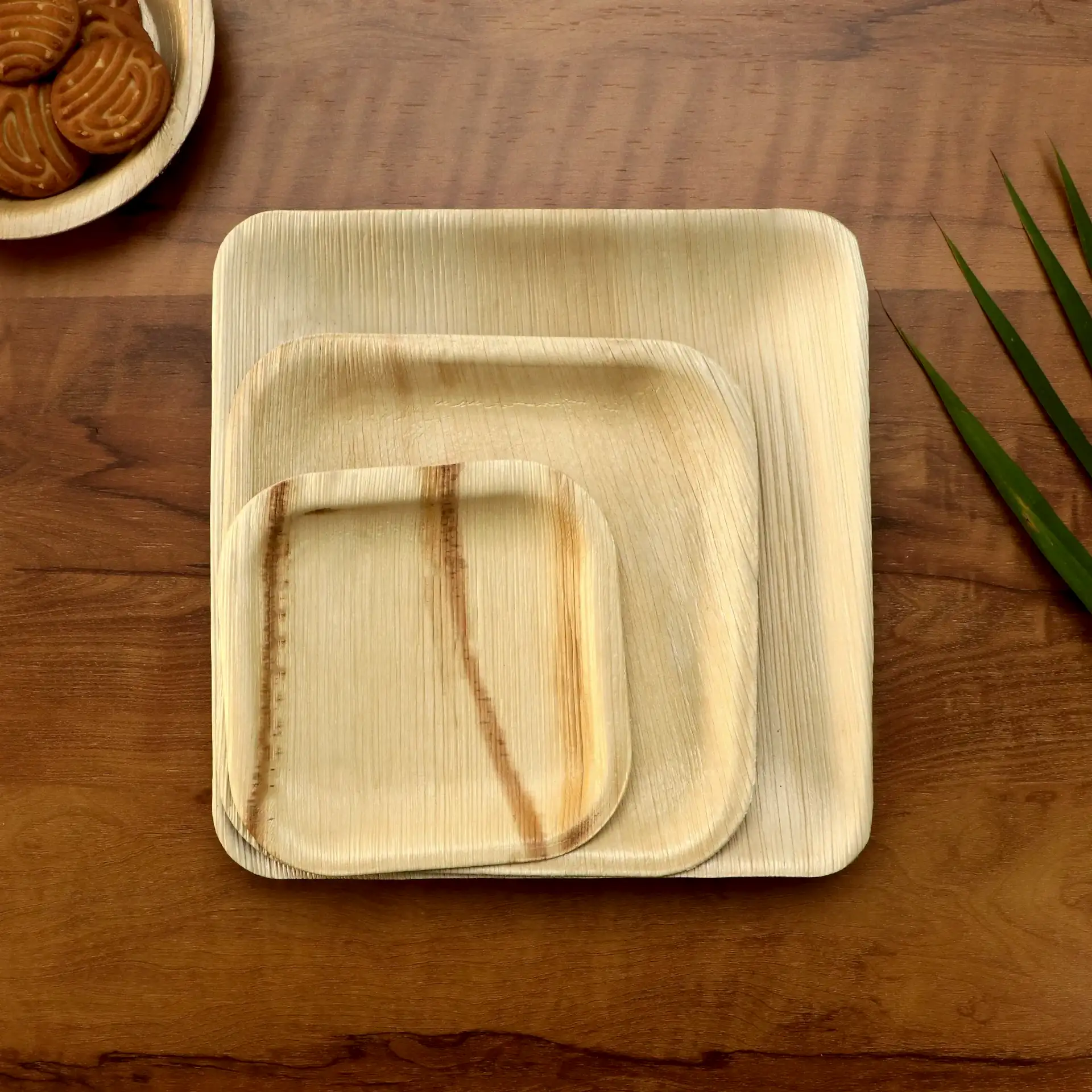 10" / 25 cm Square Palm Leaf Plate - Eco Leaf Products
