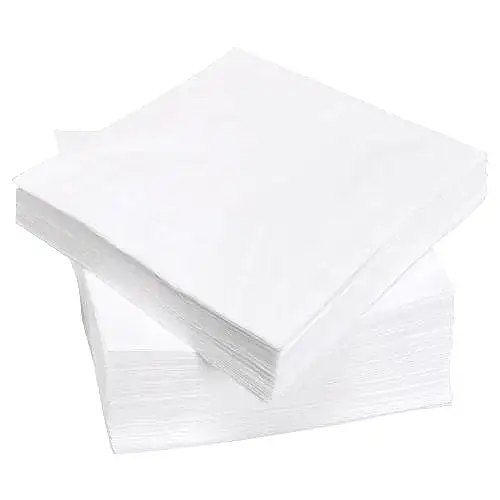 White Napkins 25cm 2 Ply 4-fold (200 pcs) - Eco Leaf Products